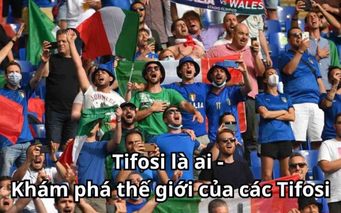 Tifosi là ai